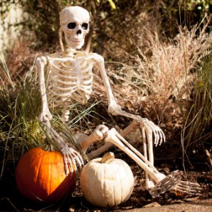 Seated Skeleton